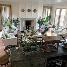 Urban Cottage